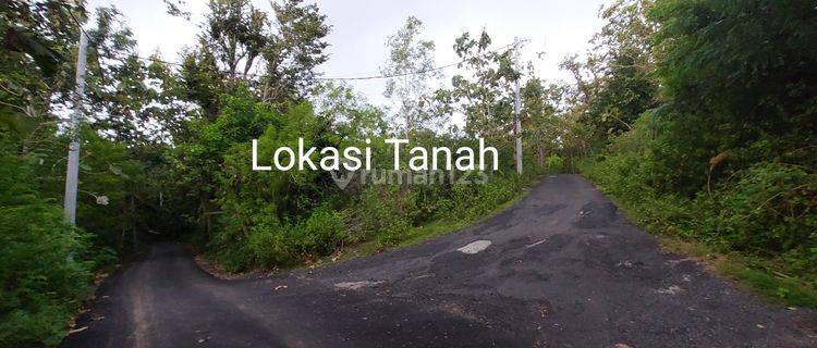 R08126 Tanah Murah di Pecatu Blong Bunter Dkt Bvlgari Kuta Selatan Badung 1