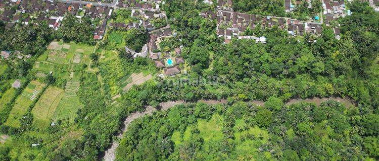 R08084 Dijual Dan Disewakan Rumah Dengan View Sawah Abadi di Jalan Pantai  1