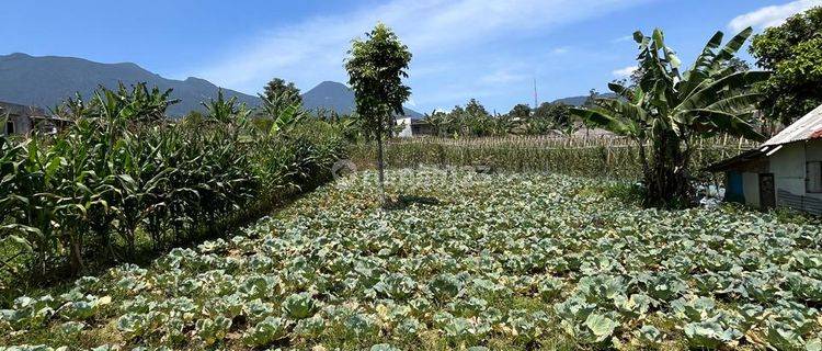 Tanah Villa Murah di Puncak Pacet Sekitar Istana Cipanas View Gunung 1