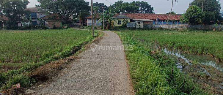 Tanah Dekat Jalan Raya Propinsi Cariu Tanjungsari Lingkungan Padat Akses Mobil 1