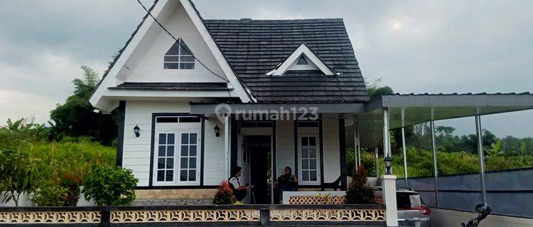 Rumah Bagus Siap Huni Full Furnished + Kebun Negotiable 1