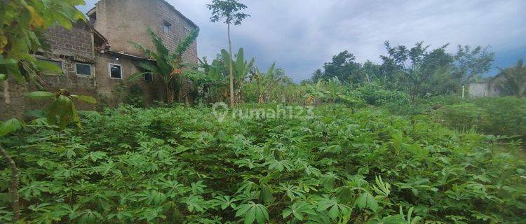 Tanah Murah 161m2 di Karangtengah, Cianjur 1