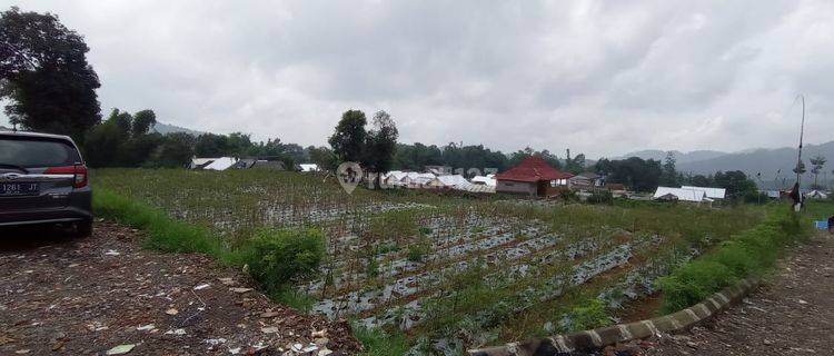 Cepat Tanah Murah Menguntungkan 4440m2 di Ciherang Pacet Cianjur 1