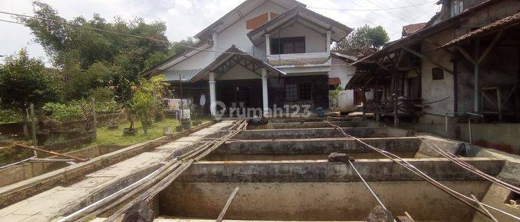 Cepat Rumah Sangat Menguntungkan Tepi Jalan Raya Cipanas Cianjur 1