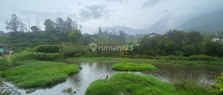 Tanah Murah Negotiable Strategis di Kebun Raya Cibodas Puncak 1