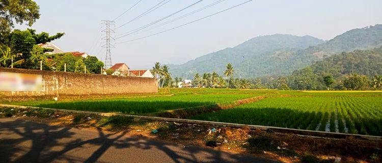 Tanah Sawah Luas Strategis di Samping Jalan Dekat Rsdh 1