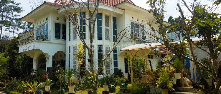 Villa Bagus Luas 2 Hektar + Kebun Tanaman Hydroponic 1