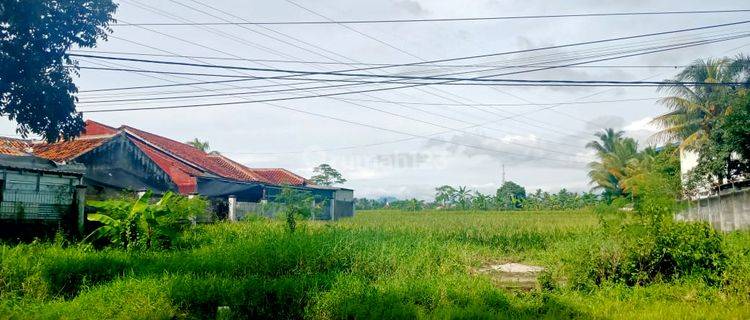 Tanah Komersial Sangat Luas Cocok Untuk Usaha Atau Pabrik 1