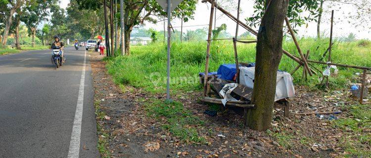 Lahan Tanah Luas Lokasi Strategis Untuk Pergudangan Bisnis 1