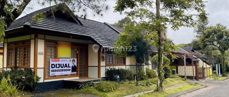 Villa Siap Huni Suasana Asri Dan Nyaman di Villa Kota Bunga 1