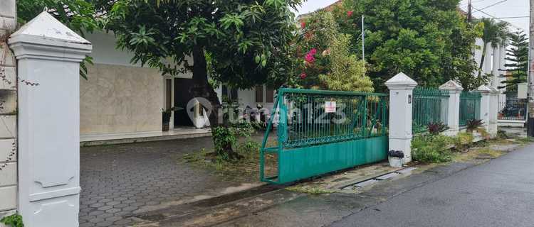 Rumah bgus luas cocok utk usaha  1