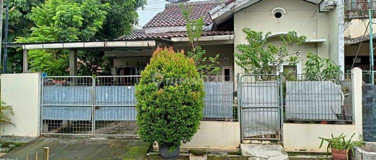 Rumah Bagus Murah 1 Lt Dekat Cibubur Plaza  1