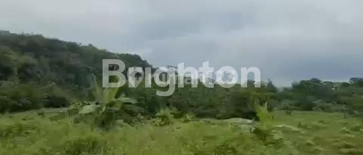 JUAL CEPAT TANAH DAERAH GUNUNG PATI 1