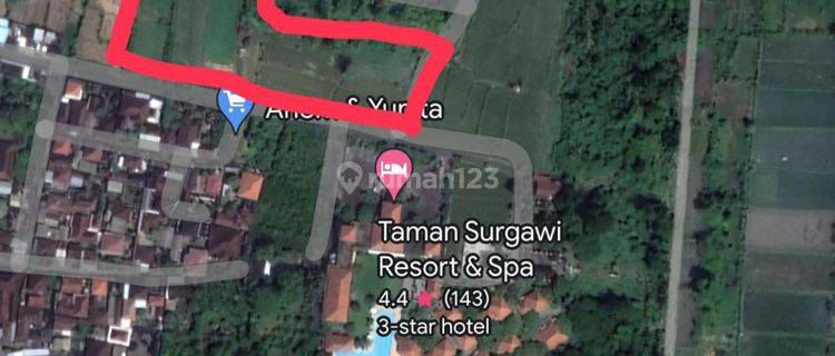 Tanah Zona Kuning Pinggir Jalan Sangat Cocok Untuh Dibangun Komplek Villa Atau Hotel 1