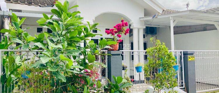 Cozy 2 Bedrooms House At Purigading For Rent Monthly  1