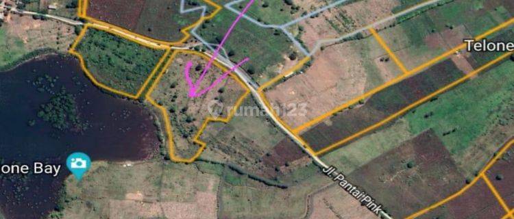 1,5 Hectare Beach Front Land Close To Pink 3 Beach Lombok 1