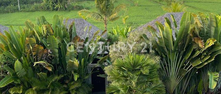 Kavling JlSb Silungan KabGianyar Ubud Bali Fasilitas Ada Sungai 1