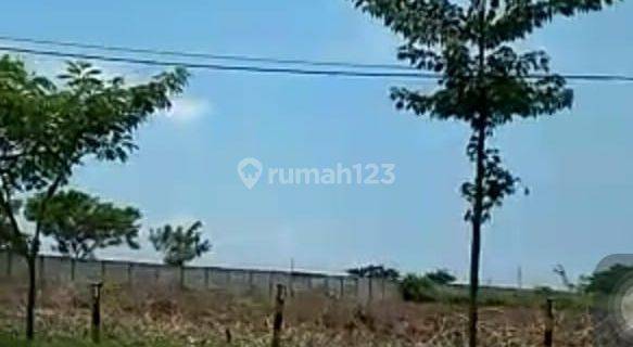 Tanah di Jalan Nasional Tuban, Tuban Sertifikat Hak Milik 4 ha 1