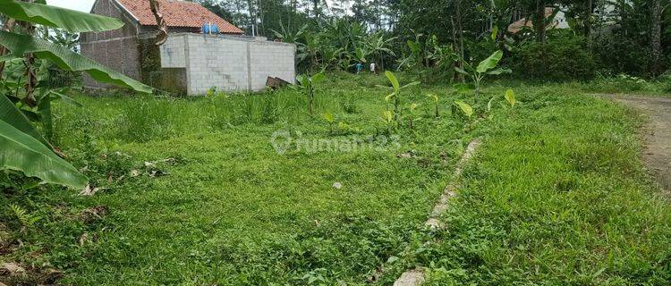 Tanah kavling murah Karangsalam dekat kampus Unwiku Purwokerto 1