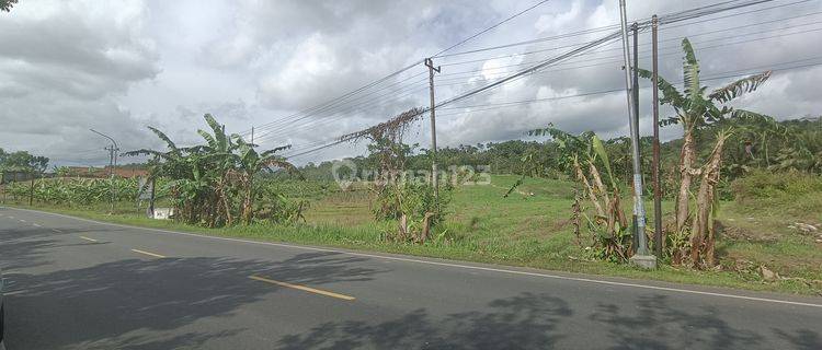 Tanah kosong 4,5 ha untuk pabrik, gudang Jeruklegi Cilacap 1