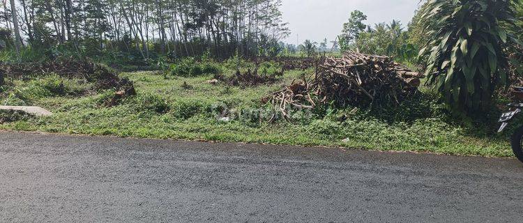 Tanah kosong p murah pinggir jln Sumbang Purwokerto Banyumas  1