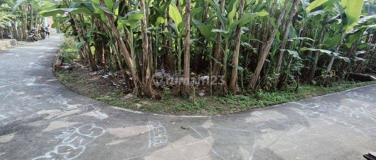 Tanah Kosong Hook Jetis Dekat Bataylon Bojong Purbalingga 1