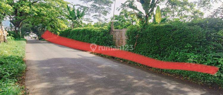 Tanah Kosong Kebun Kelengkeng Jln Raya Kutawis Kejobonng Purbalingga 1