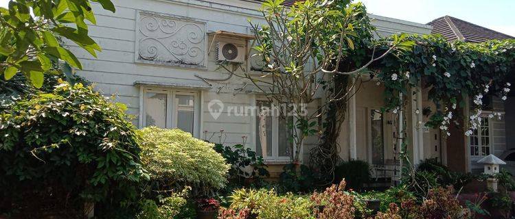 Rumah Mewah Perum Elit Dekat Gor, Kampus Unsoed Purwokerto  1