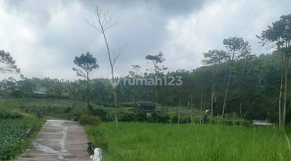 Tanah Kosong View Asri, Gunung Slamet Kompleks Wisata Pratin Purbalingga 1