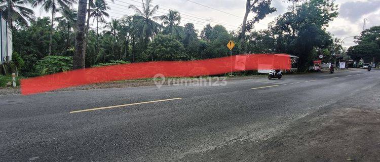 Tanah Kosong Untuk Gudang Jln Raya Cilongok Purwokerto 1