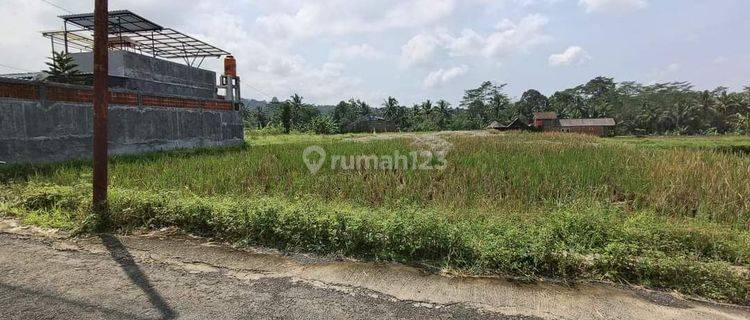 Tanah Kosong View Sawah, Asri Dekat Wisata, Al Irsyad boarding Baturaden Purwokerto 1