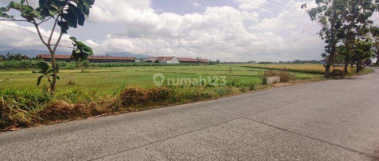 Tanah Kosong Zona Kuning Jln Raya Kembangan Bukateja Purbalingga 1