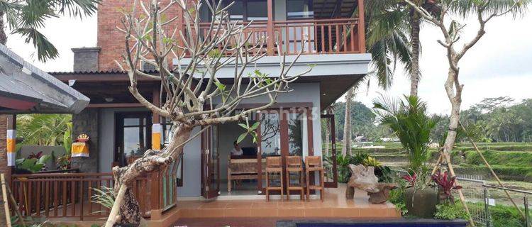 Best Deal Villa Ubud Bali Rice Field View With Swimming Pool 1