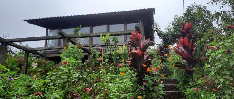 Beautiful Villa, Wooden House in Batungsel Pupuan Tabanan Bali 1