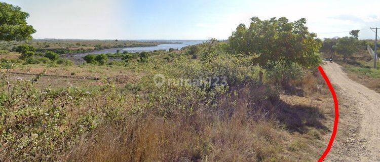 Land For Sale Pantai Pink Lombok Timur  1