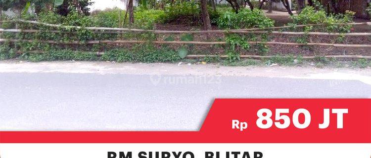 Tanah Murah Luas 1052m² Cocok Untuk Usaha Di Jl. RM Suryo Blitar

Lokasi Strategis : 

15Menit Dari Makam Bung Karno

Padat Penduduk

Lingkungan Aman Dan Nyaman

Spesifikasi : 

Luas : 1.052m

Dimensi : 20*51

Hadap : Timur Laut

Status: SHM 

Harga 850Ju 1