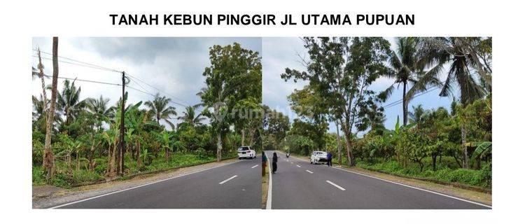 Strategis Di Jl. Antosari Pupuan, Selemadeg, Tabanan BALI 

Lokasi Strategis :

Akses Jalan Raya 8 Meter

Dekat Fasilitas Umum 

Lingkungan Aman

Spesifikasi : 

Luas Tanah : 7.275m²

Hadap : Timur 

SHM 

Harga 9,330 Milyar Nego 1