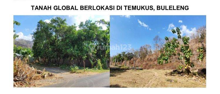 Tanah Luas + Murah Cocok Untuk Perumahan/Investasi Di Temukus Buleleng


Lokasi Strategis : 


4 Menit Dari Krisna Funtasticland


8 Menit Dari Pantai Lovina


Tanah Datar & Bebas Banjir


Dekat Fasilitas Umum 


Akses Jalan Aspal 4 Meter


Spesifikasi :  1