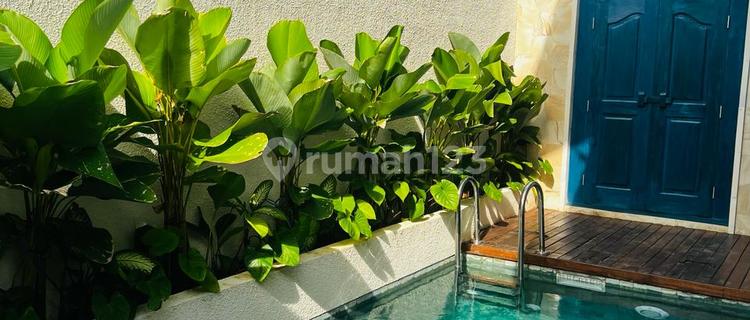 Villa Baru Dekat Ubud 2 Kamar Tidur dengan View Sawah dan Pool 1