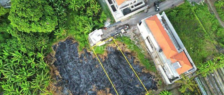 Dijual Tanah 3 Are Dekat Dengan Pantai Nyanyi Dan Tanah Lot Tabanan Bali 1