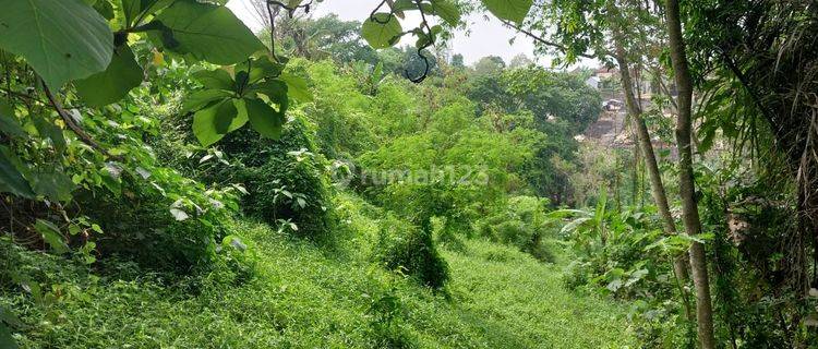 Majestic Vacant Land In Buwit Tabanan 1