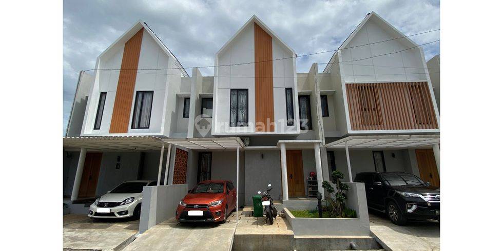 Areca