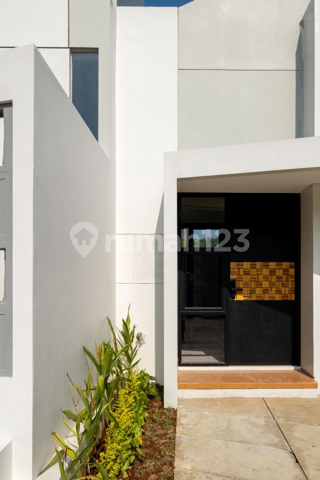 Pine Ridge Standar (42/63)