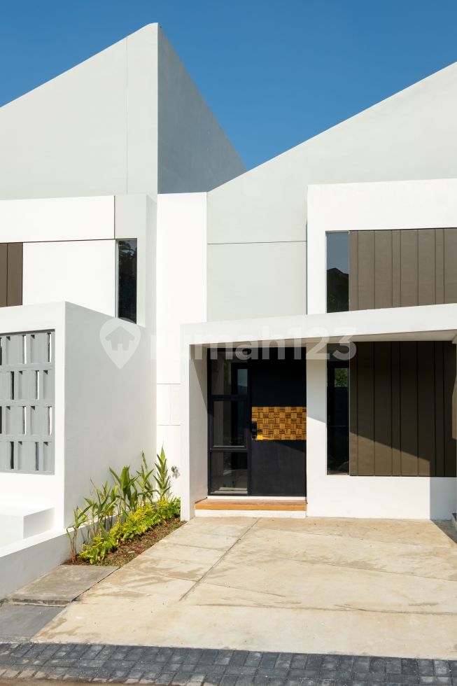 Pine Ridge Standar (42/63)