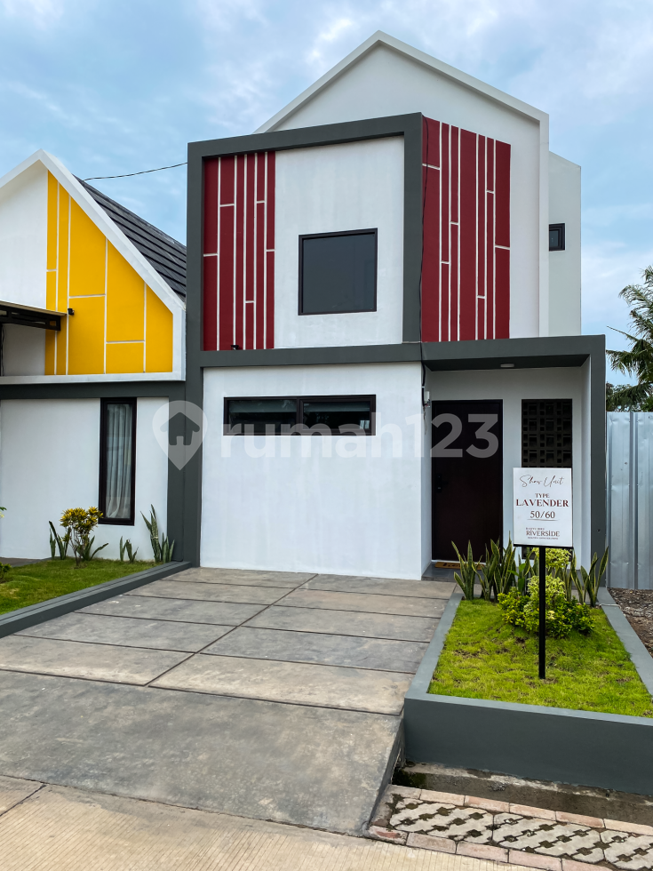 Tipe Lavender 50/60