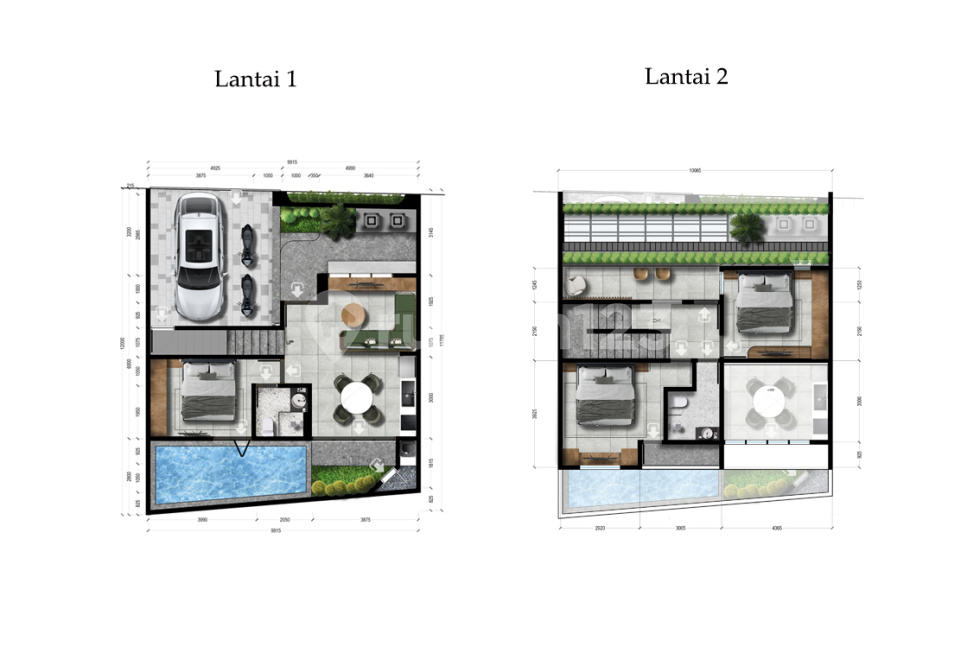 Swaha Tropical Design