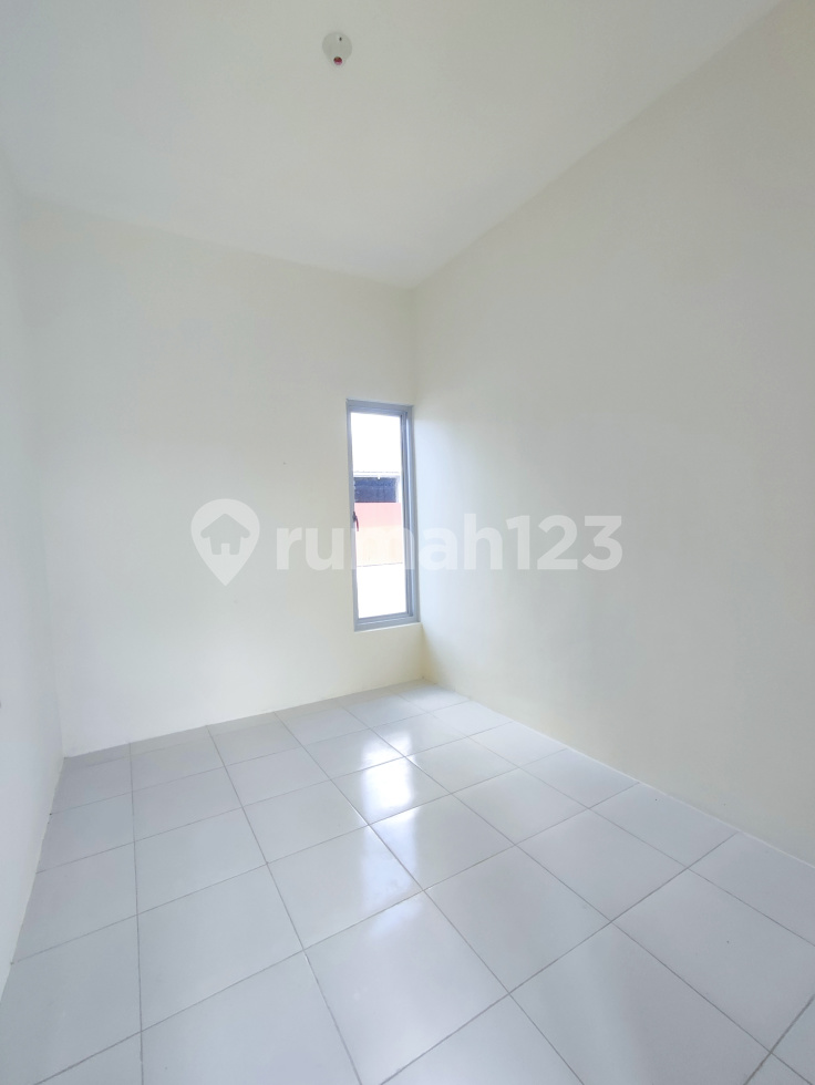 de Mandevilla Deluxe (Subsidi)