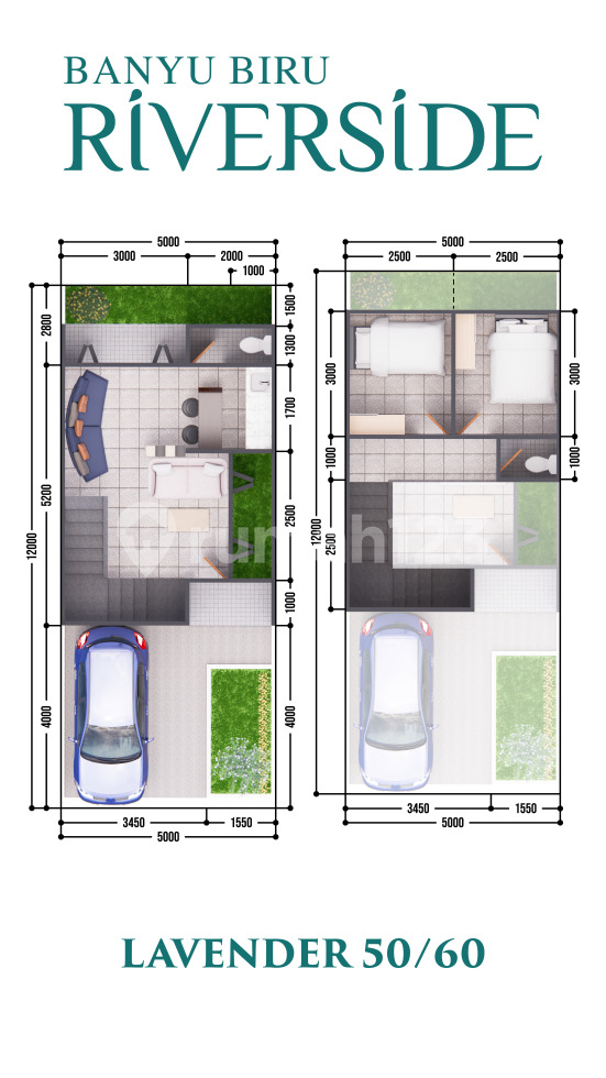 Tipe Lavender 50/60