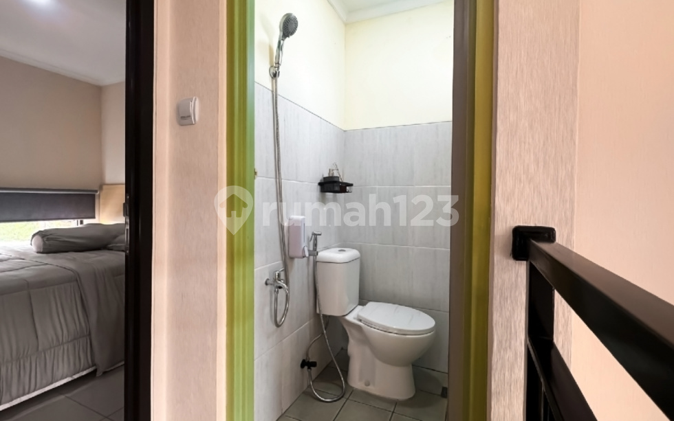 Tipe Lavender 50/60