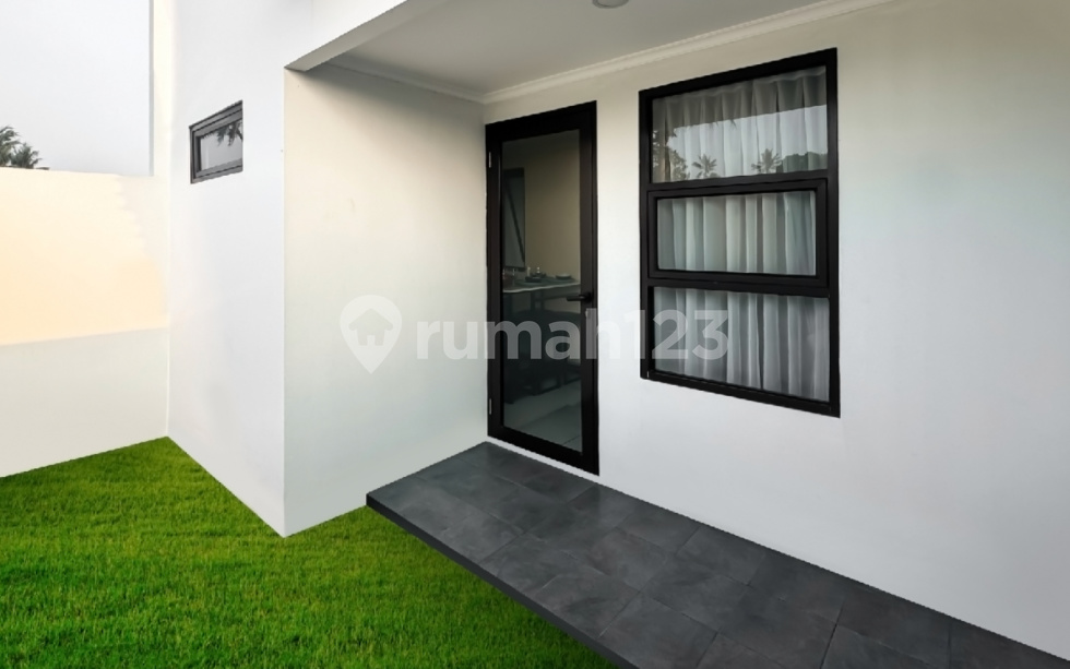 Tipe Lavender 50/60